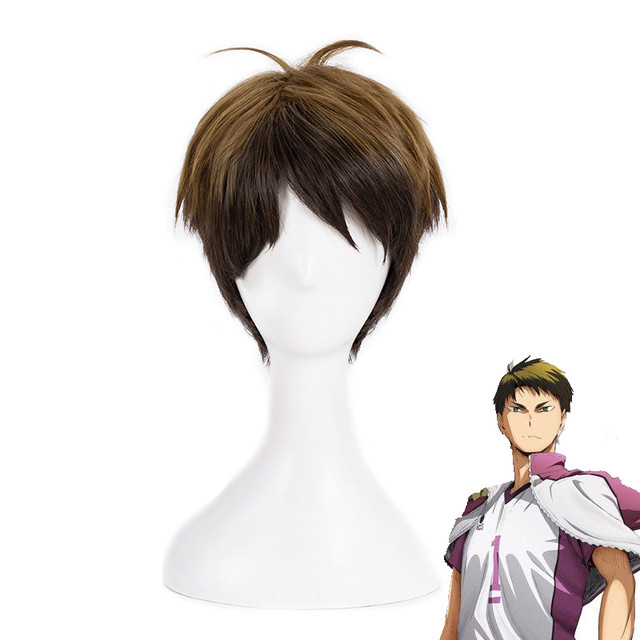 Haikyuu!! Volleyball Wakatoshi Ushijima Short Heat Resistant Synthetic Hair  Ushijima Wakatoshi Anime Cosplay Costume Wig - Cosplay Costumes - AliExpress